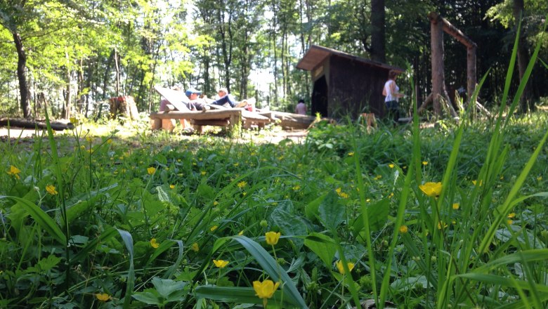 Relaxing at the &quot;Waldtreff-Lichtblick&quot;, © Naturpark Purkersdorf - G.Orosel