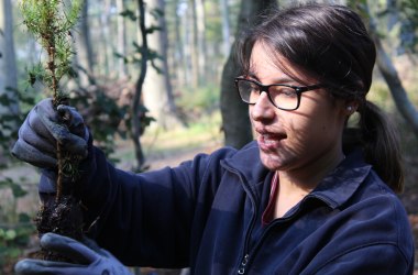 72 Stunden im Einsatz, © Naturpark Purkersdorf