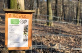 Rundweg Wildschweingehege, © Naturpark Purkersdorf