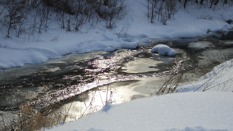 Wienfluss im Winter, © Gerhard Stoschka