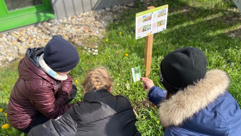 Wissenschaft trifft Schule, © Naturpark Purkersdorf/G.Orosel