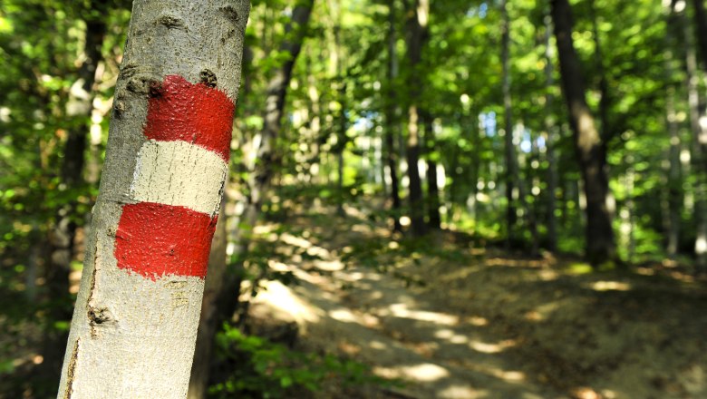 Gut markierte Wege im Wald, © Naturpark Purkersdorf