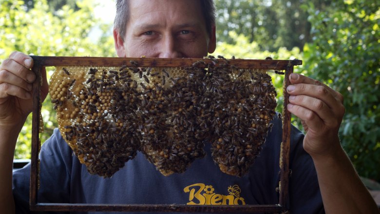 Our beekeeper &quot;Bieno&quot; produces organic honey.  , © Naturpark Purkersdorf