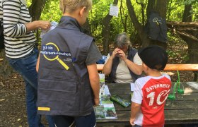 Erlebnisangebot: Lernen im Wald ist ein Abenteuer, © Naturpark Purkersdorf - G.Orosel