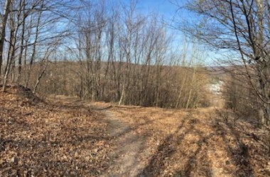 Kleine Aussicht am Schöffelweg, © Naturpark Purkersdorf/G.Orosel