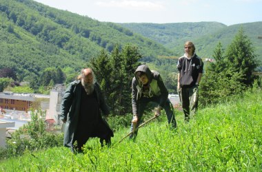 Veranstaltung: Sensenmähen auf der Streuobstwiese Feihlerhöhe, © Naturpark Purkersdorf