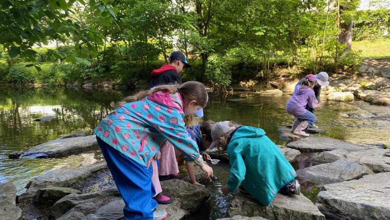 Water research, © Naturpark Purkersdorf/G.Orosel