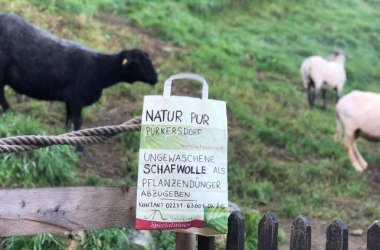 Sheep wool as a plant fertilizer, © Naturpark Purkersdorf