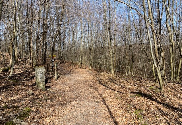 Frauenbründl, © Naturpark Purkersdorf/G.Orosel