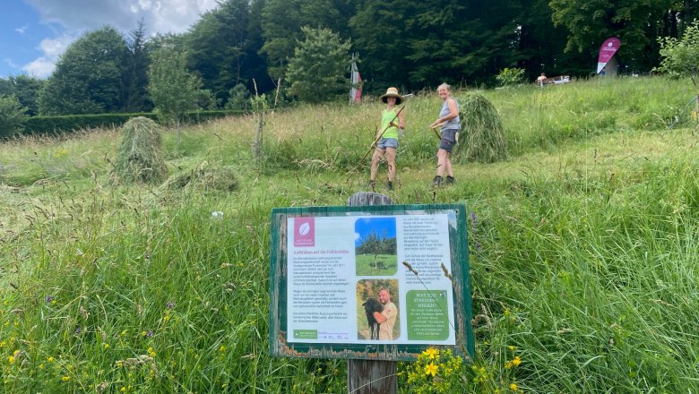 Fleißige Helferinnen auf der Streuobstwiese im Juni 2023, © Naturpark Purkersdorf