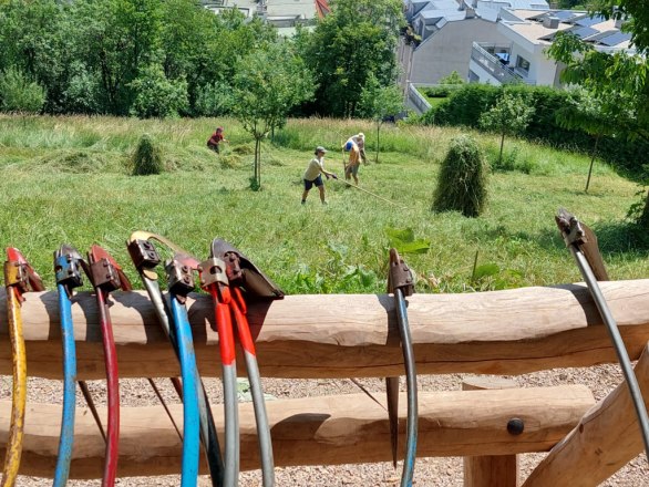 Traditonelles Handwerk - Mahd der Streuobstwiese, © Naturpark Purkersdorf