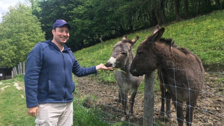 The donkeys Willi and Benjamin, © Naturpark Purkersdorf