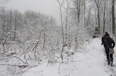 wintertrail in nature park, © Naturpark Purkersdorf