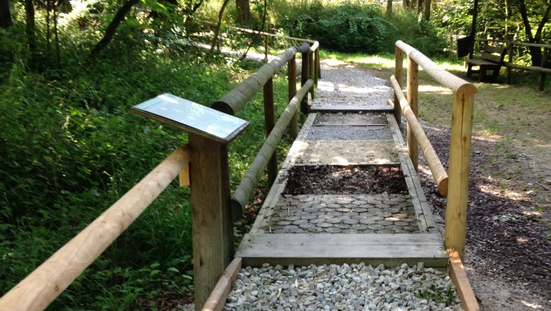 Barfußpfad Station mit unterschieldichen Holzarten entlang dem Handlauf und verschiedenen Bodenmaterialien wie Stirnholz, Rindenmulch, Sand, Schotter und Waldboden