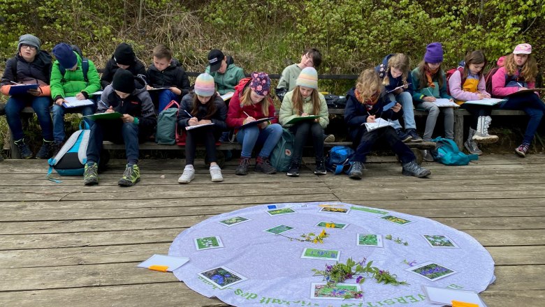 &quot;Wald ist Klasse&quot; in spring, © Naturpark Purkersdorf