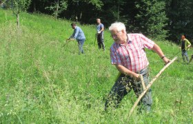 Unser Einsatz für die Natur, © Naturpark Purkersdorf