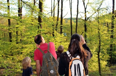 Forest tours with guides, © Natürlich Lernen