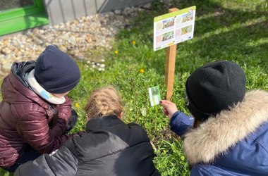 Wissenschaft trifft Schule, © Naturpark Purkersdorf/G.Orosel